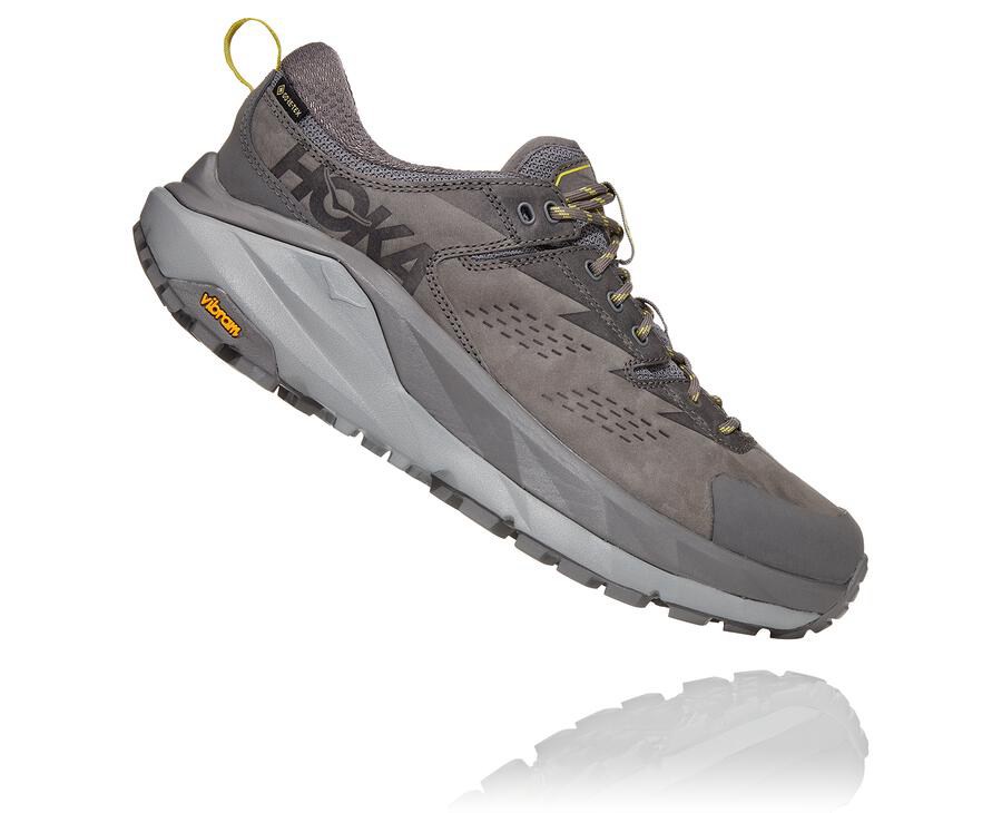 Hoka One One Kaha Låga Gore-Tex Trailskor Herr - Grå - SNVFX-5134